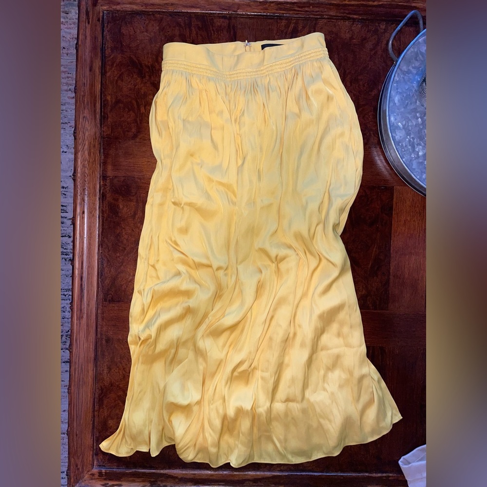 Ann Taylor Skirt